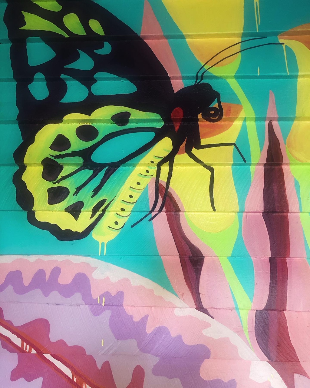 238BD5DD-342F-46C5-A8A6-2F1576434F76